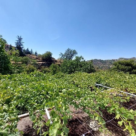 Agros Green Valley Suites リマソール エクステリア 写真