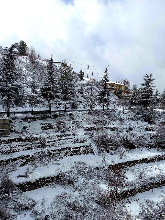 Agros Green Valley Suites リマソール エクステリア 写真