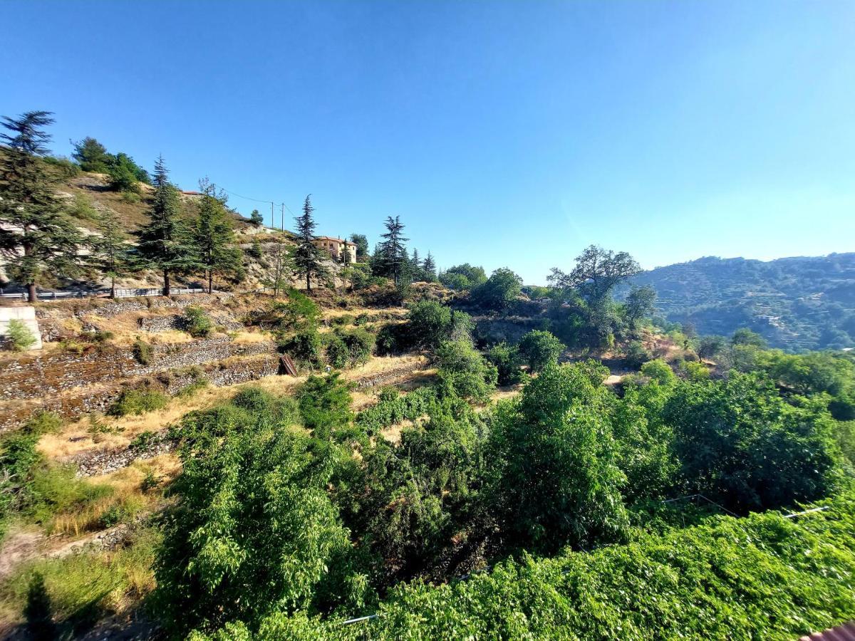 Agros Green Valley Suites リマソール エクステリア 写真