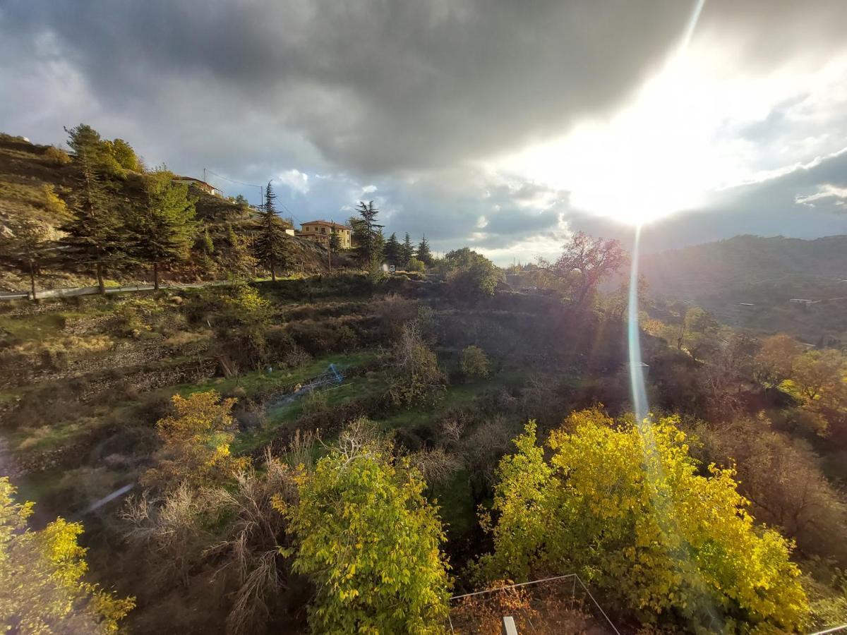 Agros Green Valley Suites リマソール エクステリア 写真
